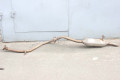 Глушитель задняя часть Toyota Corolla E15 (E150) 2007-2013 1743037170 (8136)