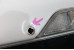 Кришка багажника з накладкою Nissan X-Trail (T31) 2007-2012 K010MJG4EA (83378)