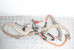 Провод высоковольтный 1.8 Hybrid Toyota Prius (ZVW35) 2009-2015 8216447080 (84708)