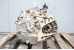 Коробка передач МКПП 1.6 Toyota Auris 2012-2020 3030002360 (98978)